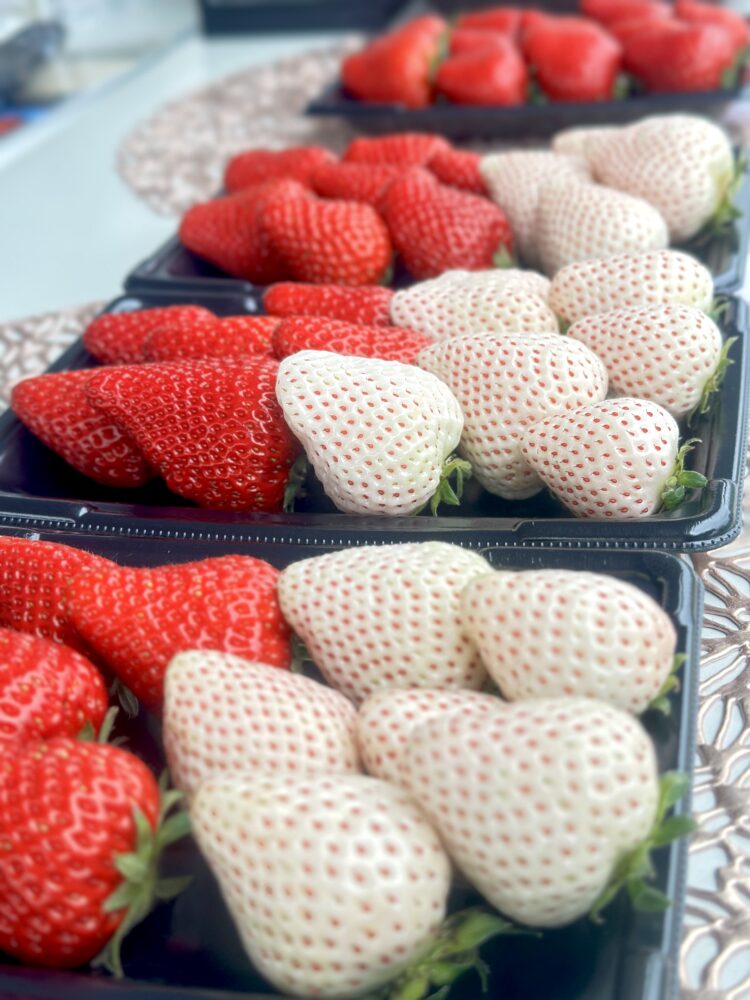 2026年は直売10品種！いちご狩り9品種！ - 三ツ間農園